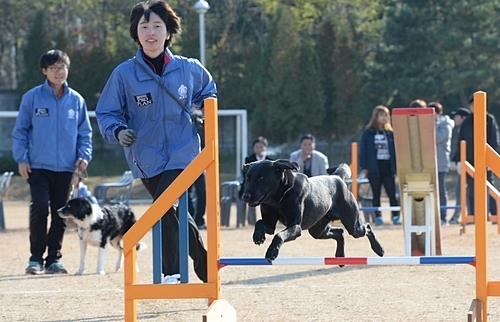 제4회데일리벳 추천경진대회