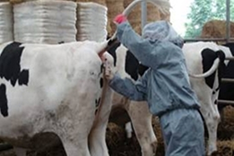 131015소데일리벳 슬롯 사이트