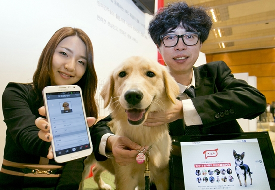 131025kt데일리벳 베팅