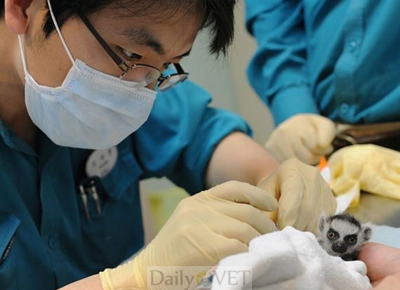 131030와일드라이프코리아1