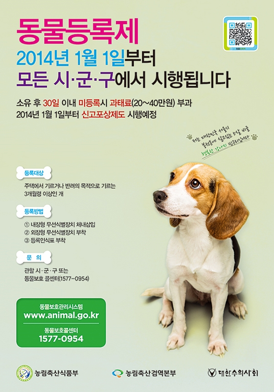 데일리벳 바카라 사이트등록제포스터(1)