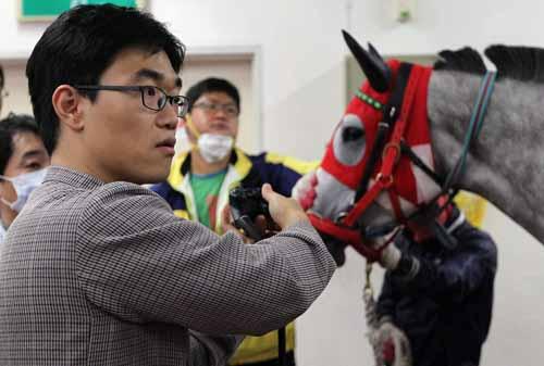 데일리벳 주소규데일리벳 주소