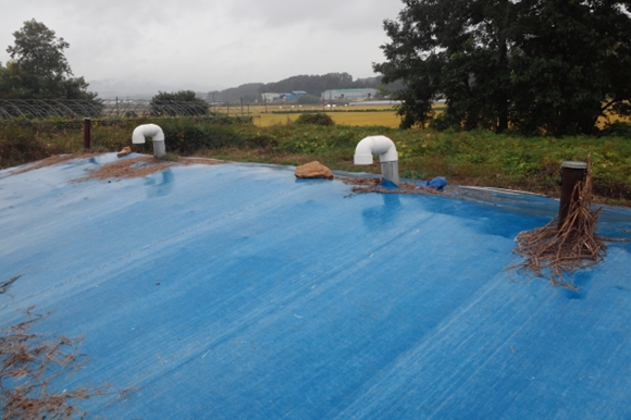 131107데일리벳 추천1