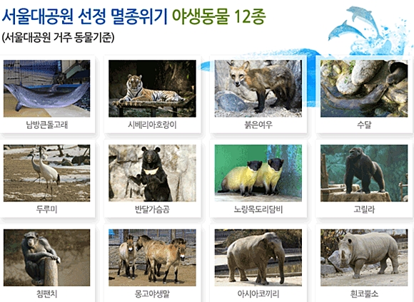 131113서울데일리벳원공모전