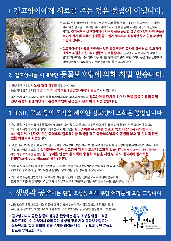 131113_길고양이유인물