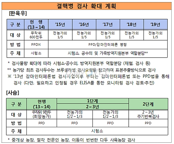 131122강원도데일리벳 추천