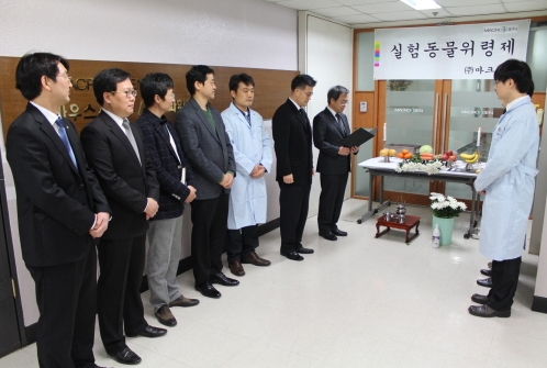 131125데일리벳 추천