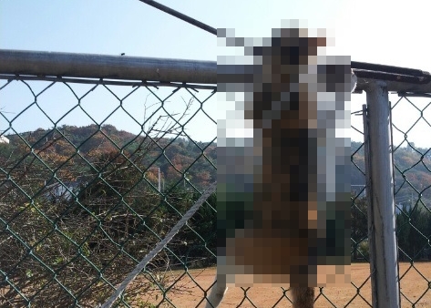 131127데일리벳 카지노 사이트학대1