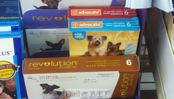 131127약사회진정서2