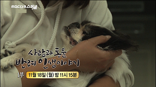 MBC다큐스페셜1부