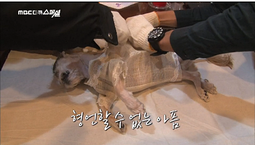 MBC다큐스페셜_화장