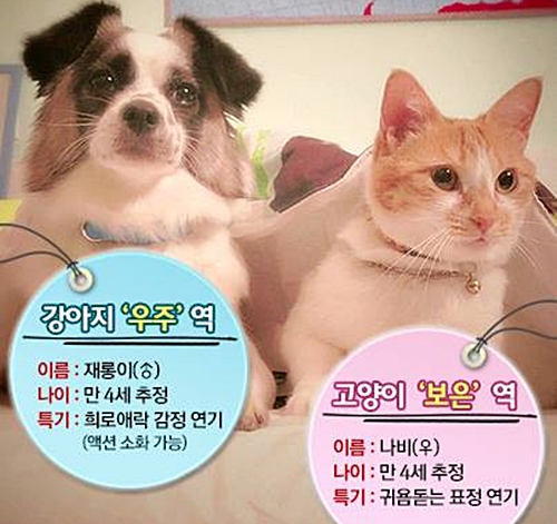 그강아지그고양이_데일리벳 카지노 사이트