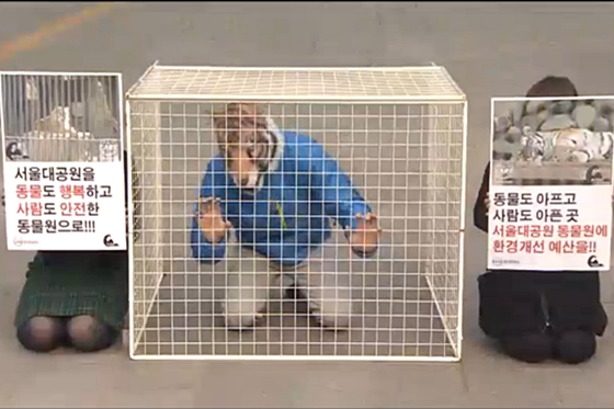 서울대공원베트윈원호랑이퍼포먼스