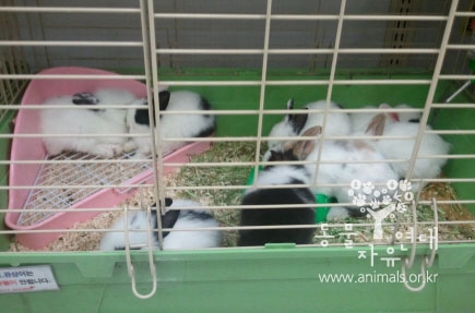 131202데일리벳 사이트보호법1