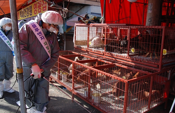 131210 경기도전통시장2