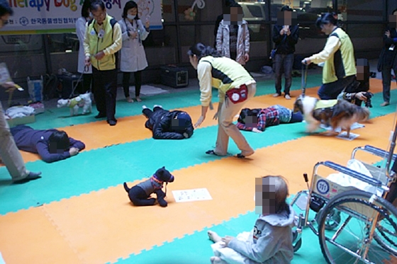 KAHAHAB세브란스8