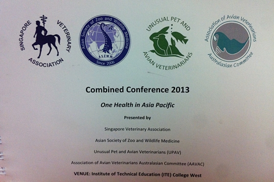 김선민_싱가폴1