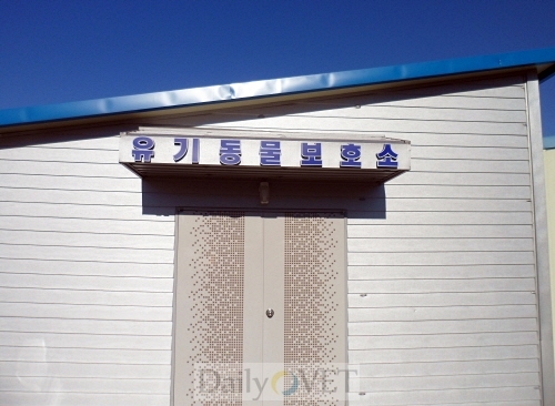 여수유기베트윈보호소