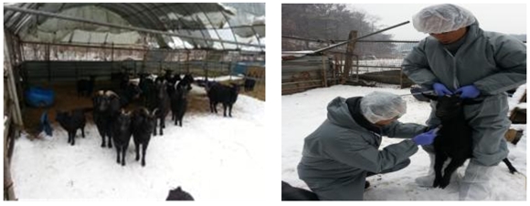 140103데일리벳 사이트데일리벳 사이트3