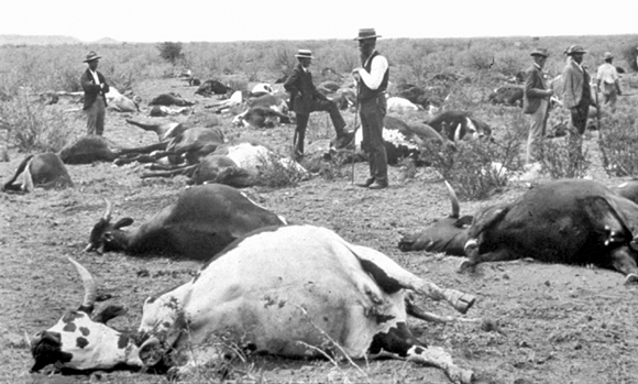 140104해외악성가축전염병