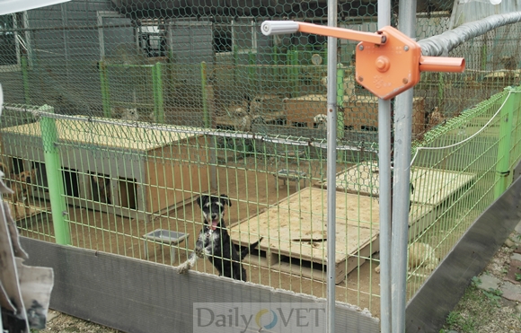 140108데일리벳 도박1