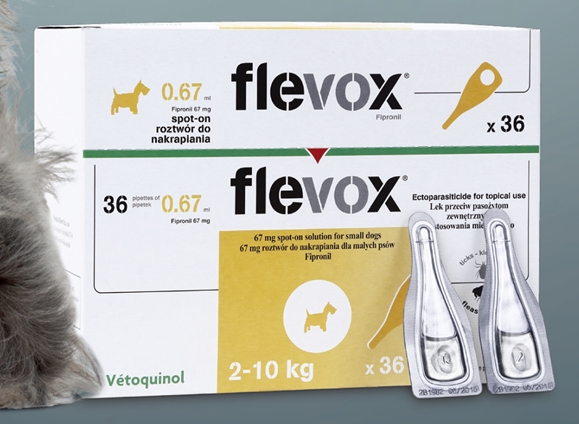 140115데일리벳 커뮤니티1