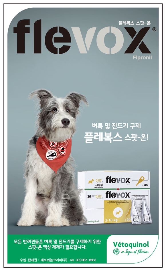 140115데일리벳 커뮤니티2