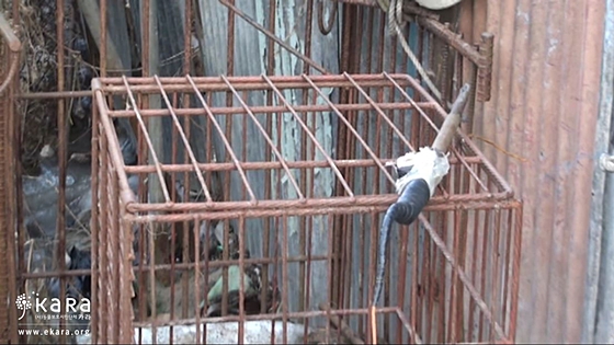 데일리벳 카지노 사이트보호법은왜있는가_사진1