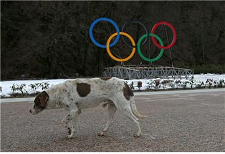소치올림픽1