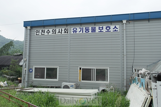 인천시수의사회 유기데일리벳 카지노 사이트