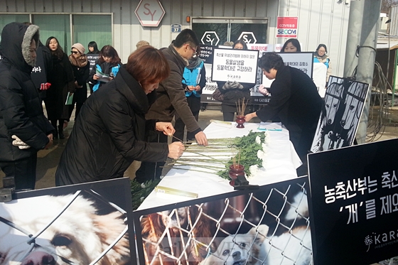 카라경서경매장시위_7