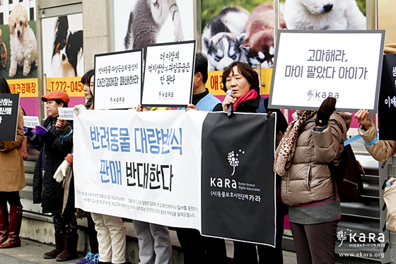 카라_대전경매장폐쇄촉구시위