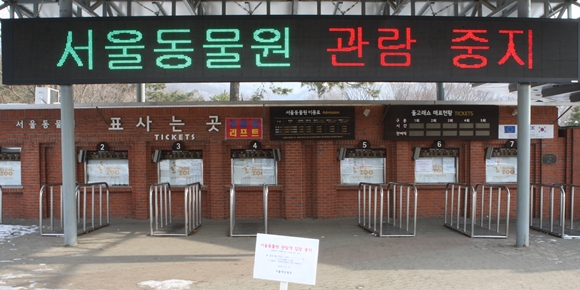 140207데일리벳 주소원AI1