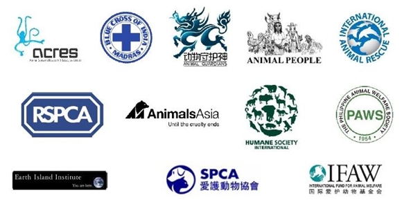 140213데일리벳 커뮤니티원법1