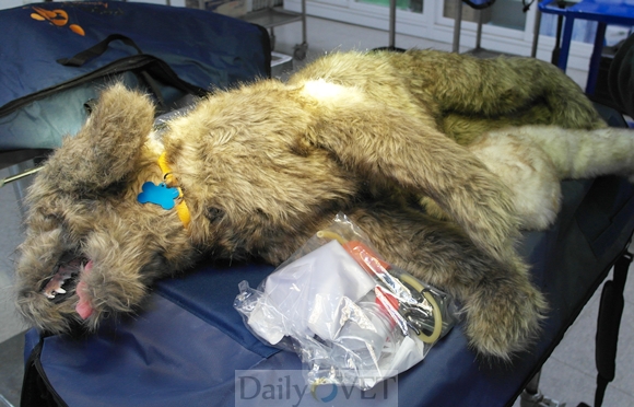 140225서울대모형1