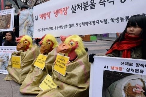 공장식축산반대기자회견_AI