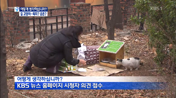 길데일리벳 베팅_KBS9어떻게생각하십니까2