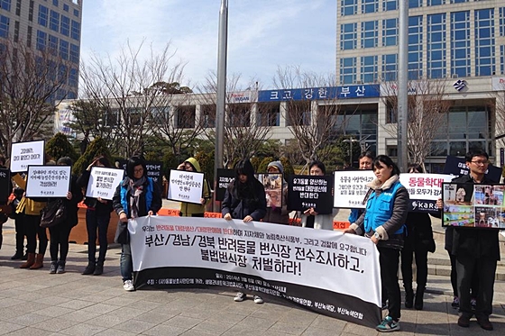 카라번식장시위_부산