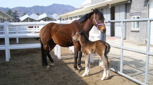 140307우리 데일리벳인공우리 데일리벳1