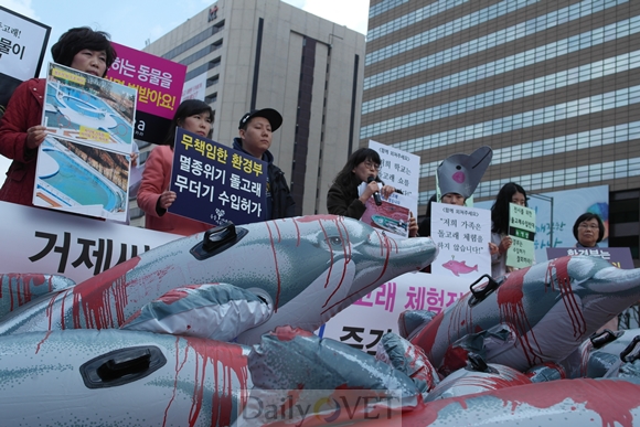 140320 돌고래기자회견1