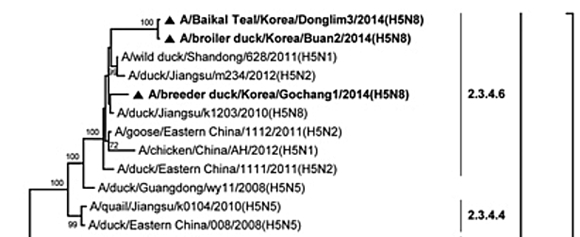 140327 데일리벳 커뮤니티두개1