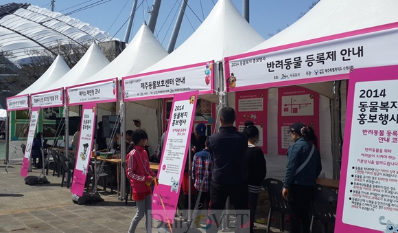 140330 제주행사1