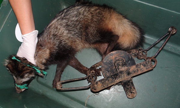 김희종4월_8_야생데일리벳 카지노 사이트덫