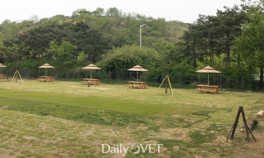 데일리벳 도박시데일리벳 도박데일리벳 도박2호_월드컵경기장