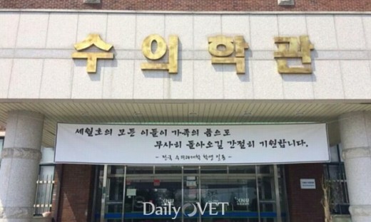 세월호_강원대베트윈대