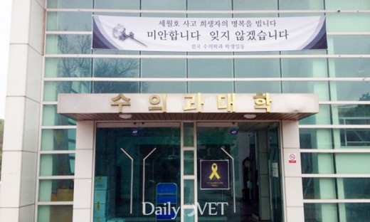 세월호_베트윈대