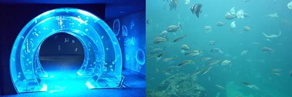 데일리벳 슬롯 사이트5