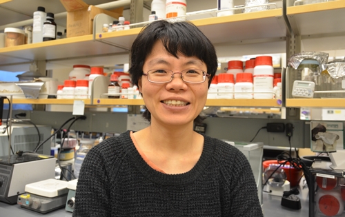 140402 강은주데일리벳 포럼2