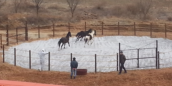 140408 데일리벳 베팅 데일리벳 베팅