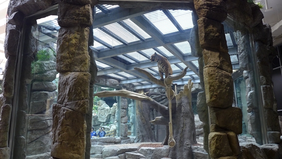 140414 아쿠아플라넷2